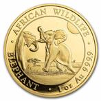 Gouden Somalische Olifant 1 oz 2024, Verzenden, Overige landen, Losse munt, Goud