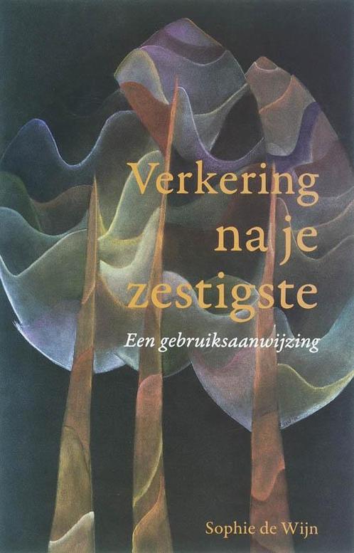 Verkering na je zestigste 9789066658639 S. de Wijn, Boeken, Politiek en Maatschappij, Gelezen, Verzenden
