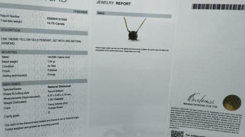 Zonder Minimumprijs - Hanger - 14 karaat Geel goud Diamant, Sieraden, Tassen en Uiterlijk, Antieke sieraden