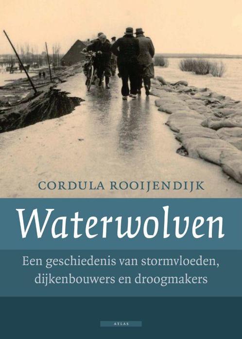 Waterwolven 9789045004815 Cordula Rooijendijk, Boeken, Romans, Gelezen, Verzenden