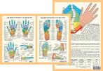 Anatomie poster hand- en voetreflexologie (Nederlands, ge..., Verzenden, Nieuw