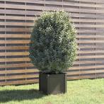 Plantenbak 40x40 Grijs | Stevig Grenenhout | Retourdeal, Tuin en Terras, Bloembakken en Plantenbakken, Minder dan 60 cm, Vierkant