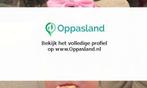 Lesley zoekt een oppas in Swalmen voor 1 kind.
