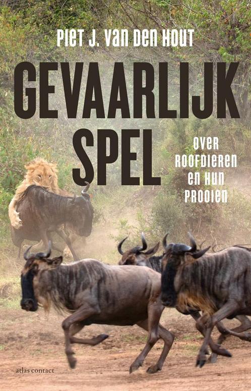 Gevaarlijk spel (9789045038742, Piet J. van den Hout), Boeken, Informatica en Computer, Nieuw, Verzenden