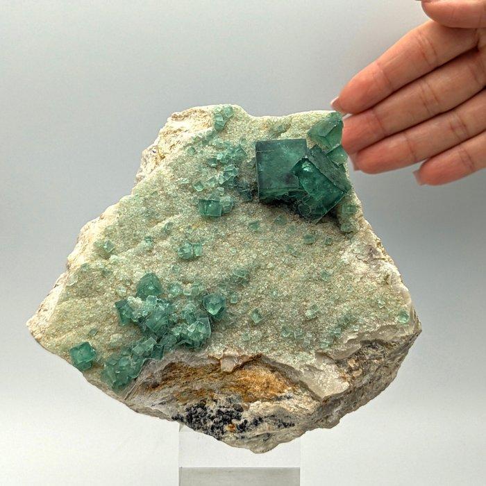 Groene fluoriet, edelstenen op lichte matrix, Madagaskar, Verzamelen, Mineralen en Fossielen