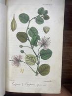 A. Alberti - Flora medica - 1817