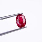1 pcs Rood, Paars Robijn - 1.54 ct - International, Nieuw
