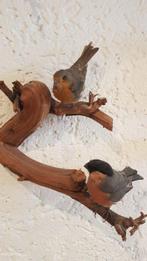 Gimpel (Dompfaff) en roodborstje Taxidermie volledige, Nieuw