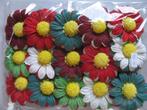 Mulberry chrysant christmas mixed +/-65 mm / pak15, Ophalen of Verzenden, Nieuw