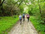 Wandelen in Hongarije in uniek Natuurpark (Koppanyvölgy)