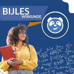 Wiskunde B begeleiding – Haarlem, Privéles, Bijles