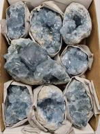 Big Lot HQ Celestine, Celestite CLUSTERS 13 - 6 cm, Verzamelen, Mineralen en Fossielen