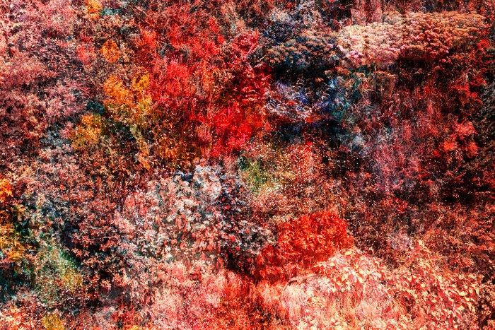 Viet Ha Tran - Wall of Nature LXIV, Antiek en Kunst, Kunst | Designobjecten