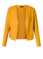 YESTA vest Julia Essential Maat:, Kleding | Dames, Verzenden, Nieuw, Overige kleuren