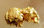 Goud Inheems, Nugget van Suriname of Frans-Guyana
