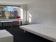 Kamer Molukkenstraat in Nijmegen, Huizen en Kamers, Huizen te huur, Gelderland, Overige soorten