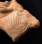 Oud Griekenland, Terracotta fragment van een stier - 7 cm