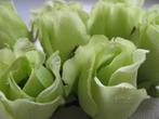 Roosjes 5-6cm. zijde best quality lightgreen lichtgroen 10, Huis en Inrichting, Ophalen of Verzenden, Nieuw