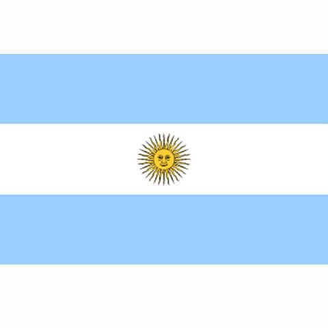 Argentijnse vlag, vlag Argentinië, Diversen, Vlaggen en Wimpels, Verzenden