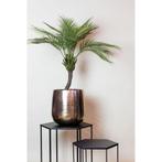 Kunstplant - Chamaedorea - Bergpalm - 85 cm, Verzenden, Nieuw