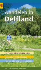 9789078641742 Wandelen in Delfland | Tweedehands, Boeken, Reisgidsen, Cock Hazeu, Zo goed als nieuw, Verzenden