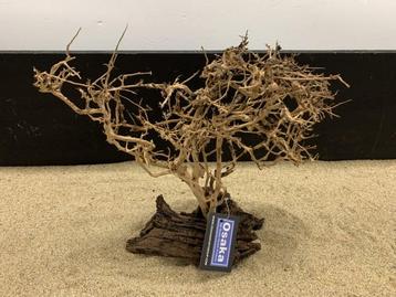 Osaka Bonsai Tree nr 23 - 35x16x37cm - aquascaping boom beschikbaar voor biedingen