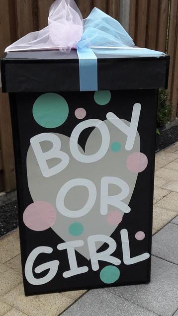 Gender reveal box-one