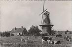 BERGAMBACHT - De Arend molenlaan, Verzamelen, Verzenden, Gelopen