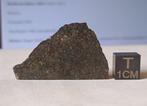NWA 12590 - meteoriet chondriet koolstofrijke CVred3 -