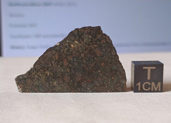 NWA 12590 - meteoriet chondriet koolstofrijke CVred3 -, Verzamelen, Mineralen en Fossielen