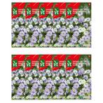 Bloemzaden juffertje in het groen | VT | 10 stuks, Tuin en Terras, Bloembollen en Zaden, Verzenden