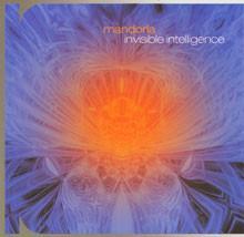 cd - Mandorla  - Invisible Intelligence, Cd's en Dvd's, Cd's | Overige Cd's, Zo goed als nieuw, Verzenden