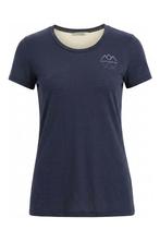 Icebreaker T-shirt in maat S Grijs, Kleding | Dames, T-shirts, Icebreaker, Verzenden, Gedragen, Grijs