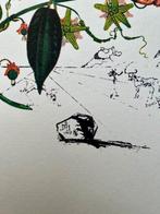 Salvador Dali (1904-1989) - Passion Flower-Limited Edition, Antiek en Kunst
