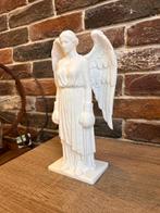 Andrea Giorgi - Angel woman boxer