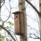 Nestkast Grote Bonte Specht - Vogelhuisjes    - Nesten, Verzenden, Nieuw