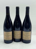 2022 Antoine Sanzay, La Haye Dompierre - Saumur-Champigny -, Nieuw