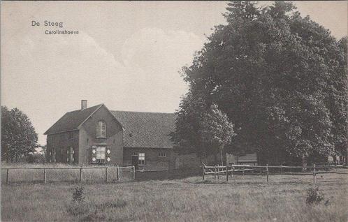 DE STEEG - Carolinahoeve, Verzamelen, Ansichtkaarten | Nederland, Verzenden