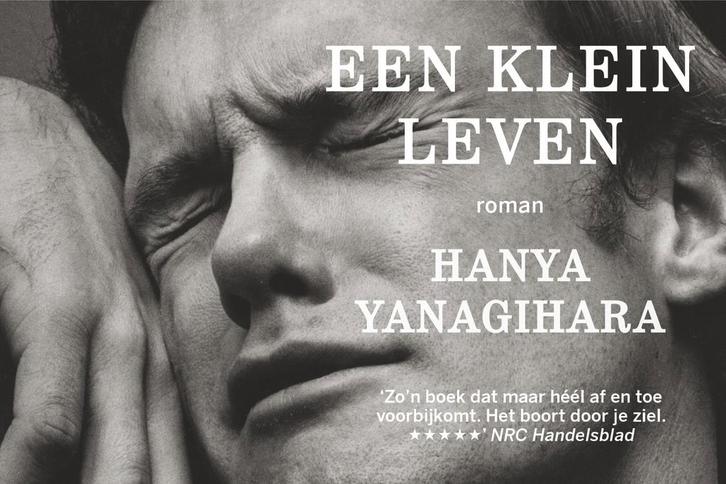 Een klein leven / Dwarsligger / 469 9789049805784, Boeken, Romans, Zo goed als nieuw, Verzenden