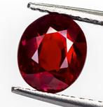 Robijn - 2.06 ct - Lotus Gemology - Vivid Red (Mozambique), Nieuw