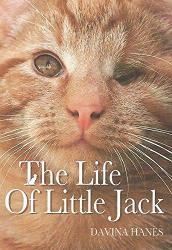 The Life of Little Jack, Davina Hanes, Boeken, Taal | Engels, Zo goed als nieuw, Verzenden