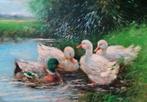 Europese school (XX) - Ducks in a sun lit pond landscape, Antiek en Kunst