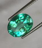 1 pcs Groen Smaragd - 2.00 ct - International Gemological, Nieuw