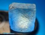 POKER GEMS - 35,7 ct - Natuurlijke smaragd, robijn, saffier,, Verzamelen, Mineralen en Fossielen