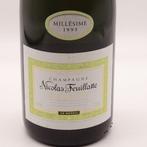1995 Nicolas Feuillatte Grand Cru Le Mesnil - Champagne, Nieuw