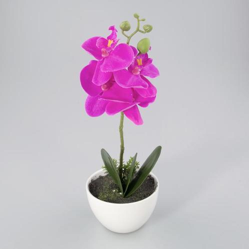 Orchidee in kunststof pot lavendel M, Huis en Inrichting, Woonaccessoires | Overige, Nieuw, Verzenden