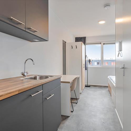 Gemeubileerde gestoffeerde studentstudio met wasmachine, Huizen en Kamers, Kamers te huur, Minder dan 20 m², Maastricht