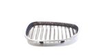 Grillerooster links BMW 5 Series  535d, Ophalen of Verzenden, Gebruikt, Links, BMW