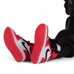 SKE - Kaws X Air Jordan