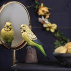 Grasparkiet op stam - Verjaardagscadeau    - Overig, Verzenden